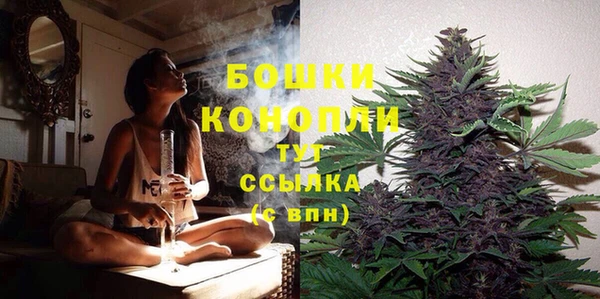 амф Аркадак