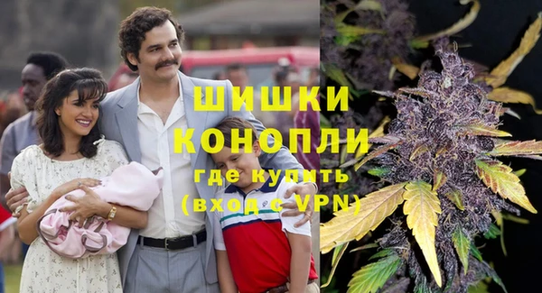 молекула духа Арсеньев