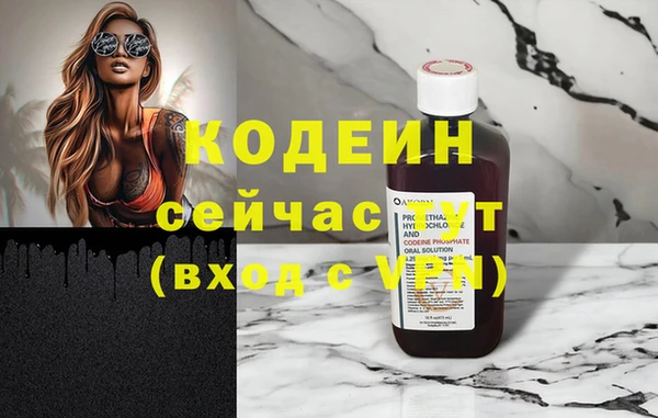 молекула духа Арсеньев