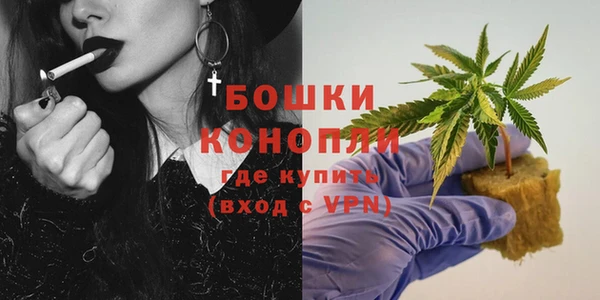 амф Аркадак