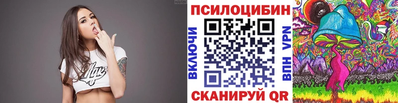 Купить  Нефтекумск  Галлюциногенные грибы Psilocybine cubensis 
